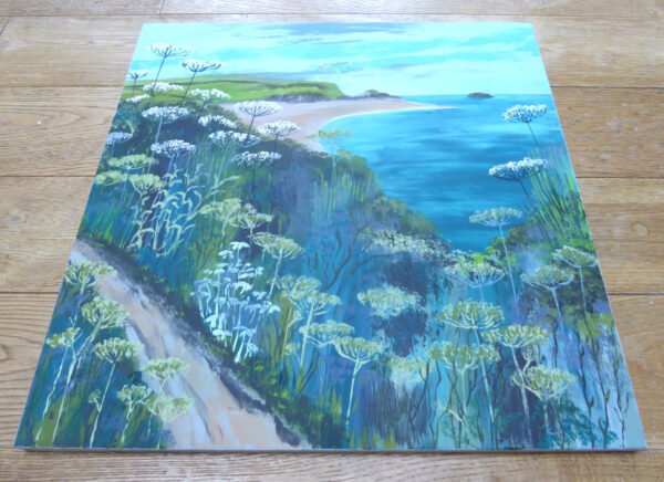 Coast path near Padstow - Image 3